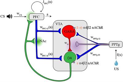 Minimal Circuit Model of Reward Prediction Error Computations and Effects of Nicotinic Modulations